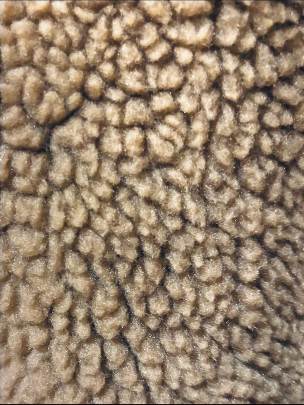 PATAGONIA INSULATED PRAIRIE DAWN PARKA - Picture 4 of 13